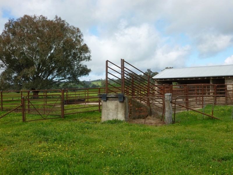 132 Cemetery Road, Talgarno VIC 3691