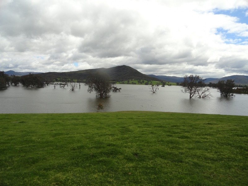 5566 Murray River Road, Thologolong VIC 3691