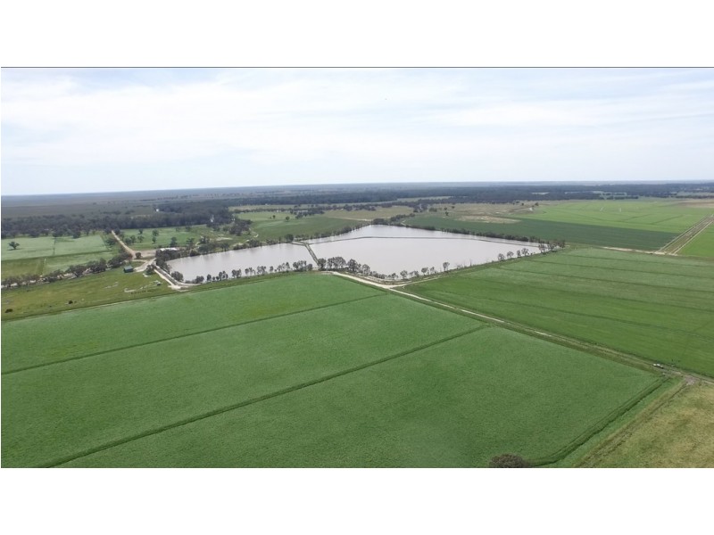 “LONGREACH” 2757 BALPOOL ROAD, Moulamein NSW 2733