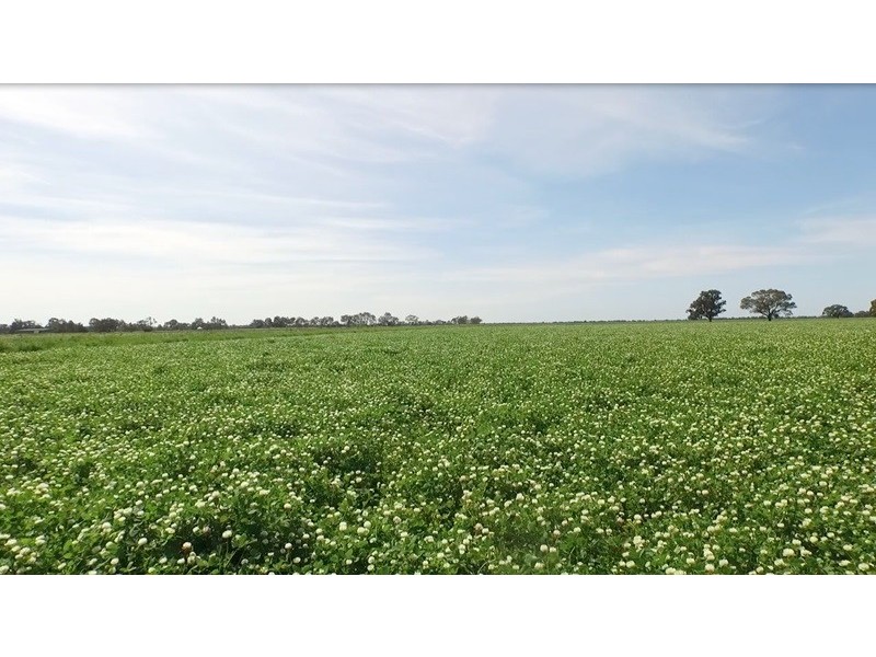 “LONGREACH” 2757 BALPOOL ROAD, Moulamein NSW 2733