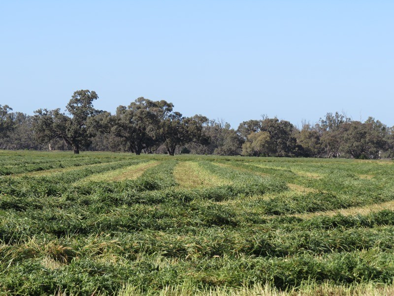 “LONGREACH” 2757 BALPOOL ROAD, Moulamein NSW 2733