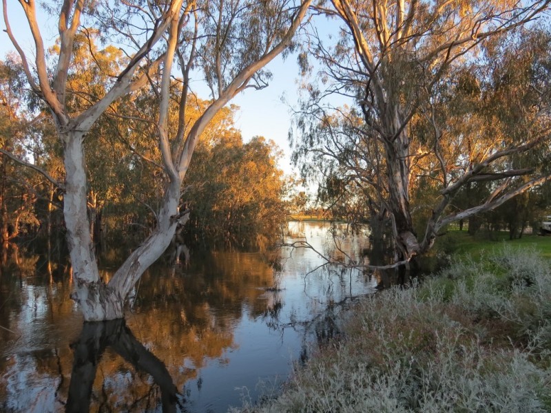 “LONGREACH” 2757 BALPOOL ROAD, Moulamein NSW 2733