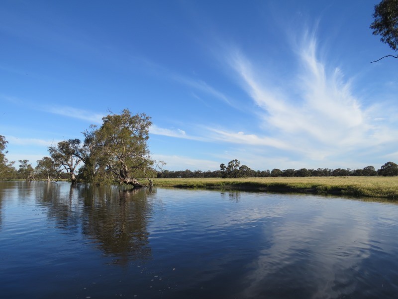 “LONGREACH” 2757 BALPOOL ROAD, Moulamein NSW 2733