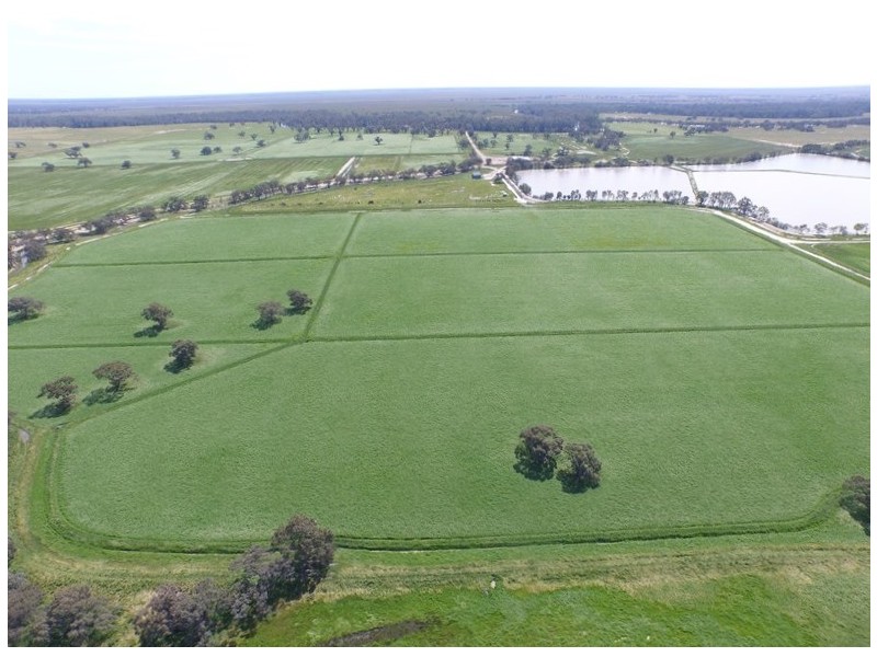 “LONGREACH” 2757 BALPOOL ROAD, Moulamein NSW 2733