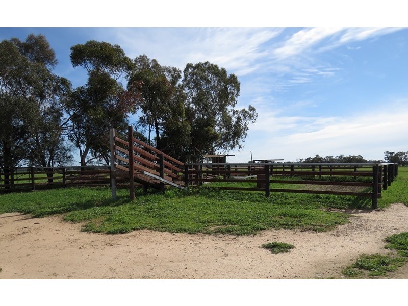 “LONGREACH” 2757 BALPOOL ROAD, Moulamein NSW 2733