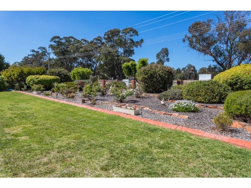 111 Pine Hill Road, Narrandera NSW 2700