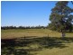 Lot 23, 111 Pine Hill Road, Narrandera NSW 2700