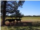 Lot 23, 111 Pine Hill Road, Narrandera NSW 2700