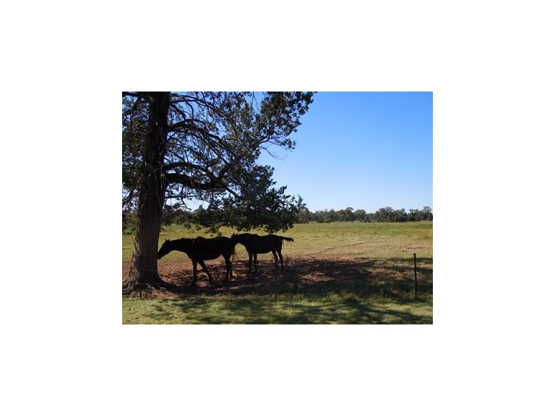 Lot 23, 111 Pine Hill Road, Narrandera NSW 2700