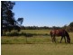 Lot 23, 111 Pine Hill Road, Narrandera NSW 2700