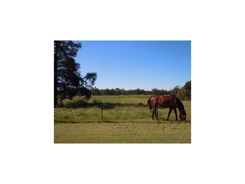 Lot 23, 111 Pine Hill Road, Narrandera NSW 2700