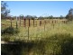 Lot 23, 111 Pine Hill Road, Narrandera NSW 2700