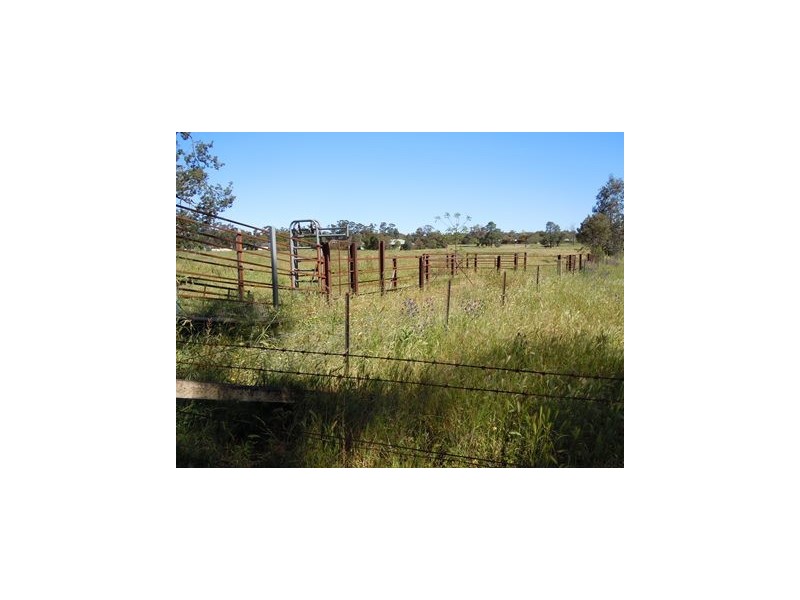 Lot 23, 111 Pine Hill Road, Narrandera NSW 2700
