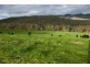 108 Pini Lane, Mudgegonga VIC 3737