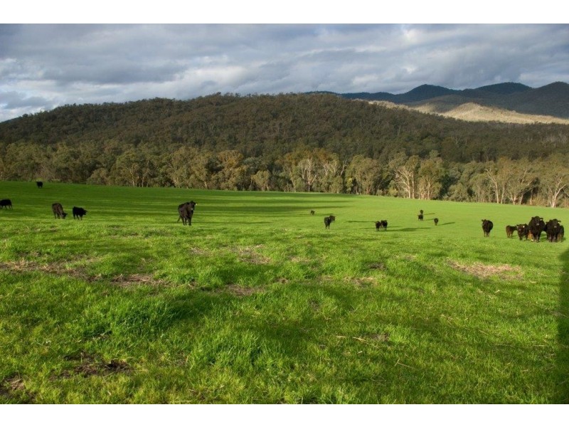 108 Pini Lane, Mudgegonga VIC 3737