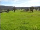 Lot 10 Yenschs Road, Lankeys Creek NSW 2644