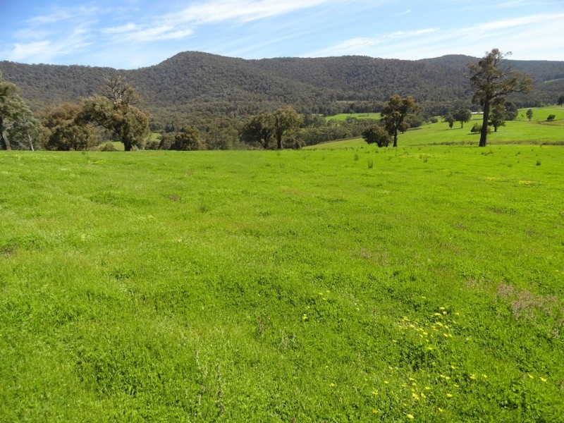 Lot 10 Yenschs Road, Lankeys Creek NSW 2644