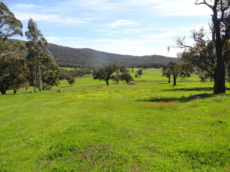 Lot 10 Yenschs Road, Lankeys Creek NSW 2644