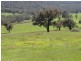 Lot 10 Yenschs Road, Lankeys Creek NSW 2644