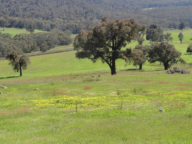 Lot 10 Yenschs Road, Lankeys Creek NSW 2644