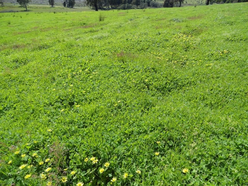 Lot 10 Yenschs Road, Lankeys Creek NSW 2644