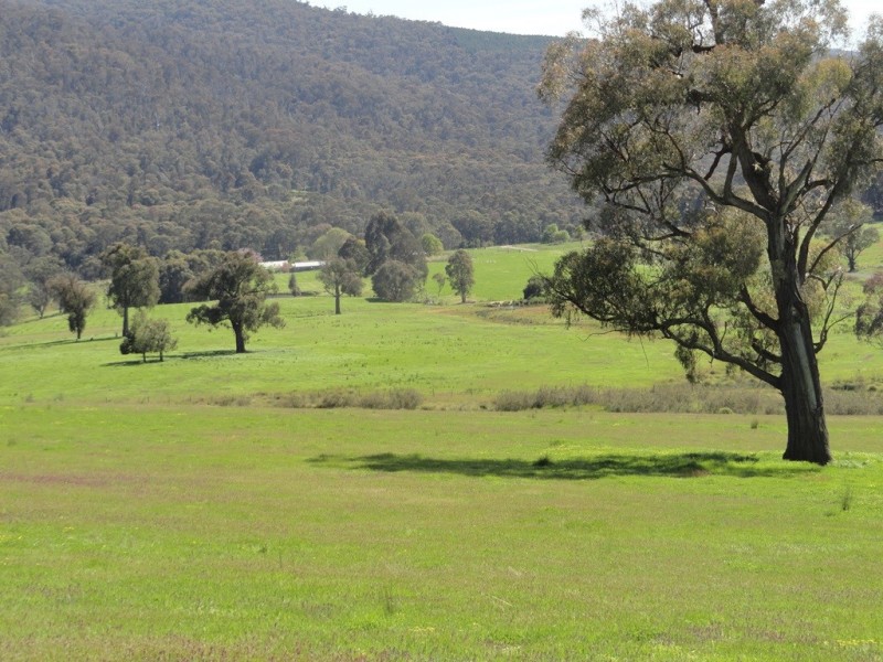 Lot 10 Yenschs Road, Lankeys Creek NSW 2644