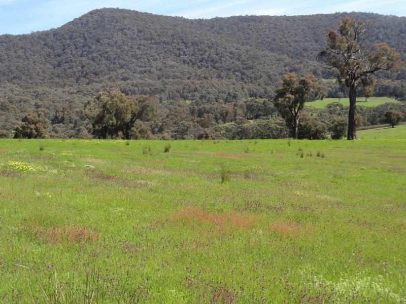 Lot 10 Yenschs Road, Lankeys Creek NSW 2644