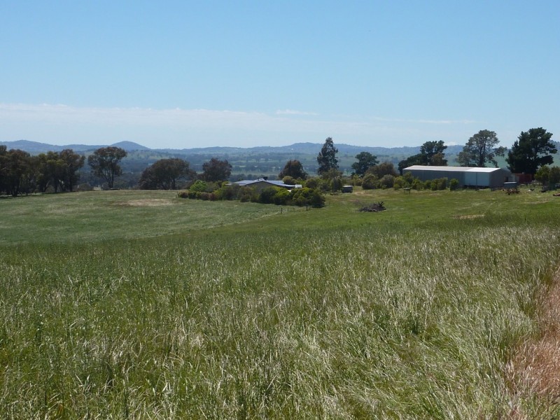 348 Bulloc Road, The Rock NSW 2655