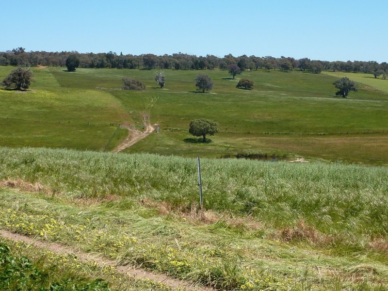 348 Bulloc Road, The Rock NSW 2655