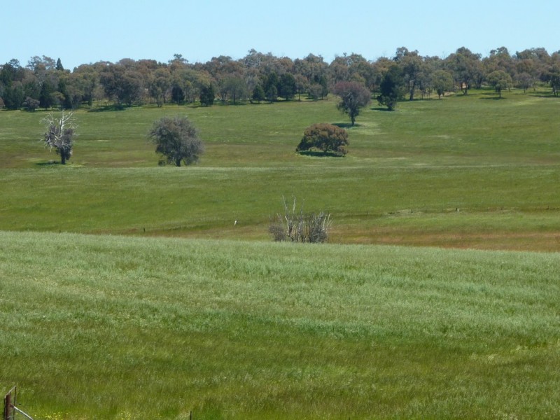 348 Bulloc Road, The Rock NSW 2655