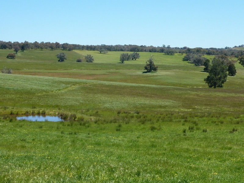 348 Bulloc Road, The Rock NSW 2655