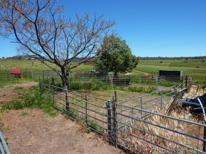 348 Bulloc Road, The Rock NSW 2655