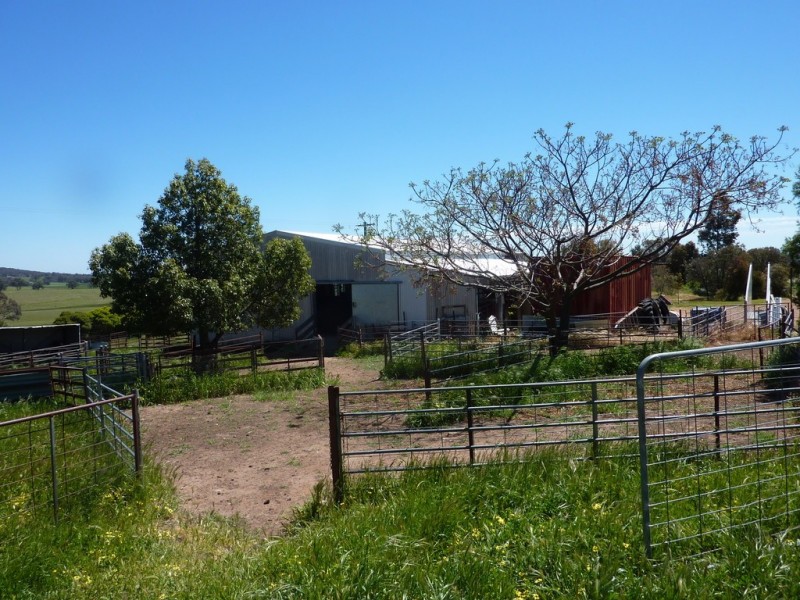 348 Bulloc Road, The Rock NSW 2655