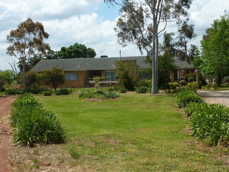 13 Goodes Lane, Coolamon NSW 2701