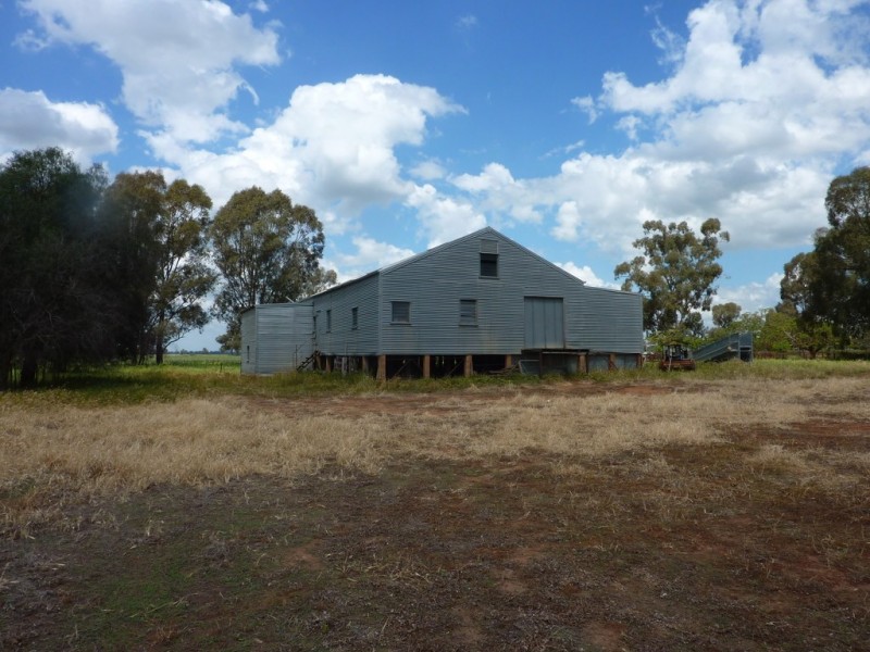13 Goodes Lane, Coolamon NSW 2701