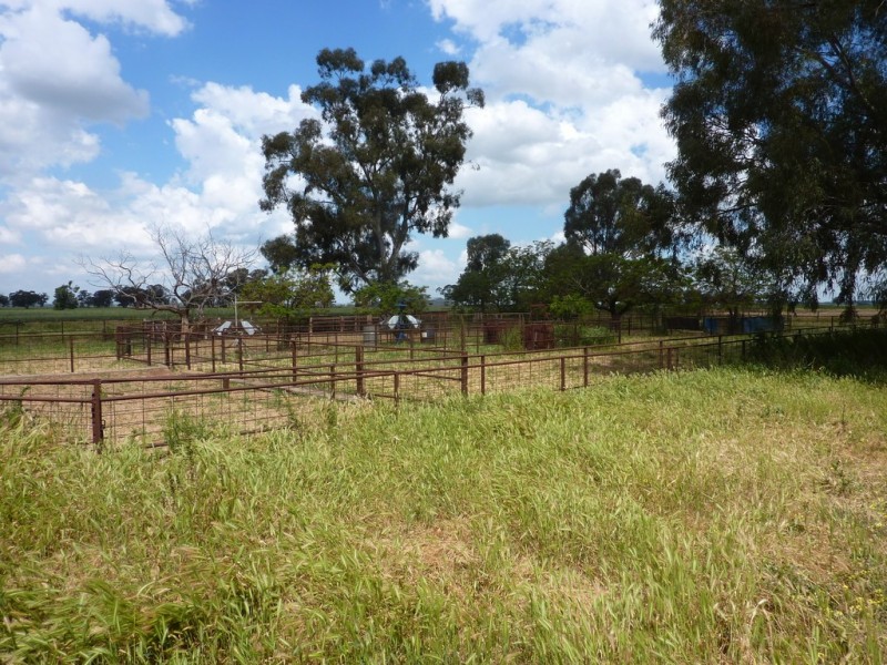13 Goodes Lane, Coolamon NSW 2701