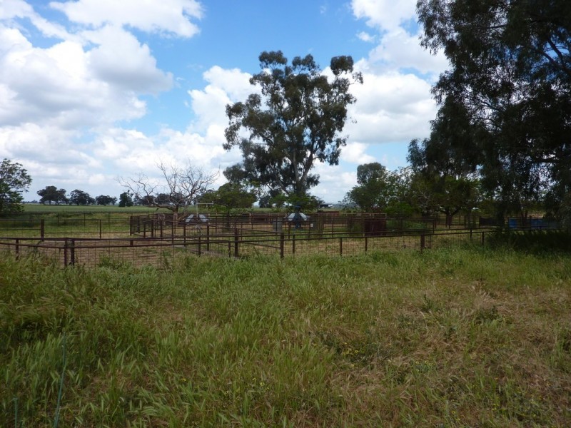 13 Goodes Lane, Coolamon NSW 2701