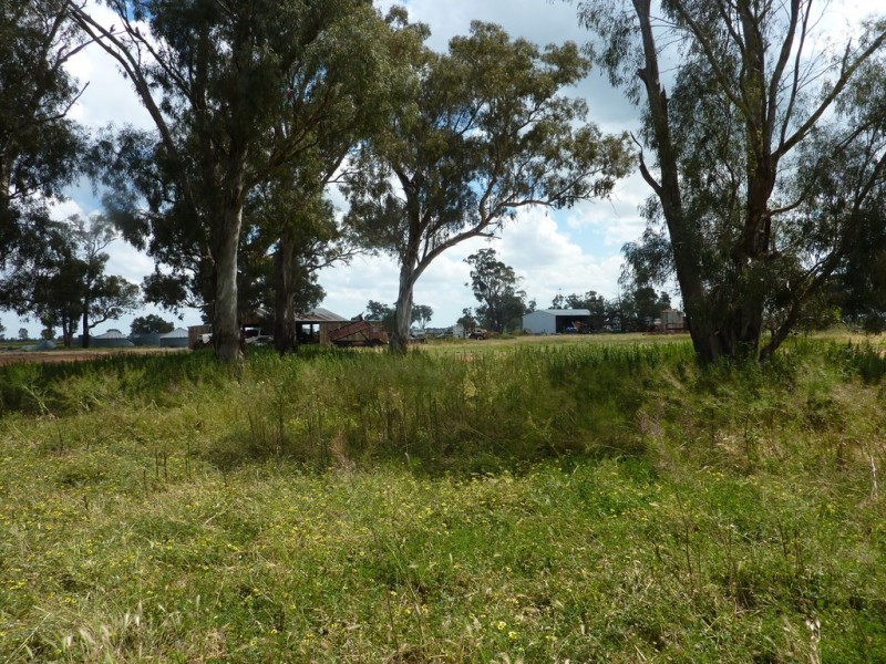13 Goodes Lane, Coolamon NSW 2701