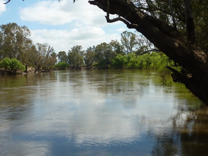 205 River Road, Wagga Wagga NSW 2650