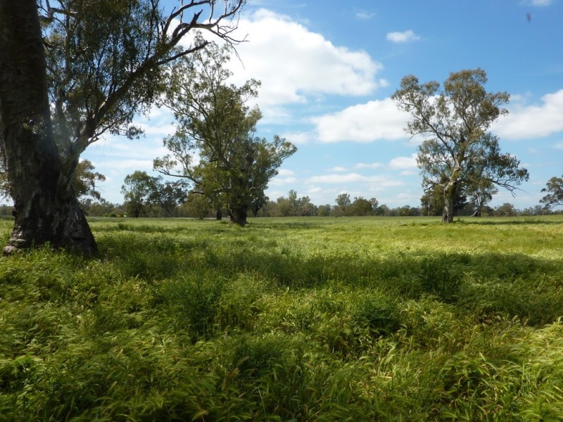 205 River Road, Wagga Wagga NSW 2650