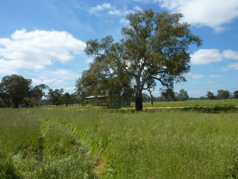 205 River Road, Wagga Wagga NSW 2650