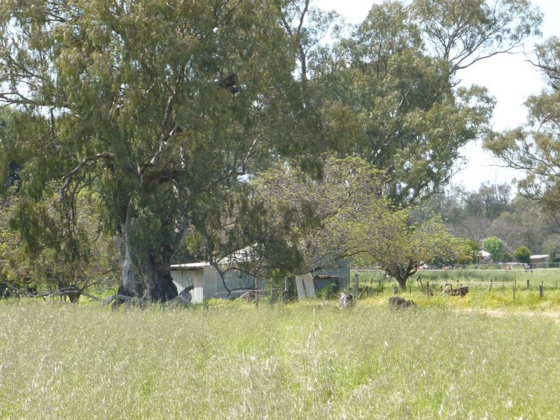 205 River Road, Wagga Wagga NSW 2650