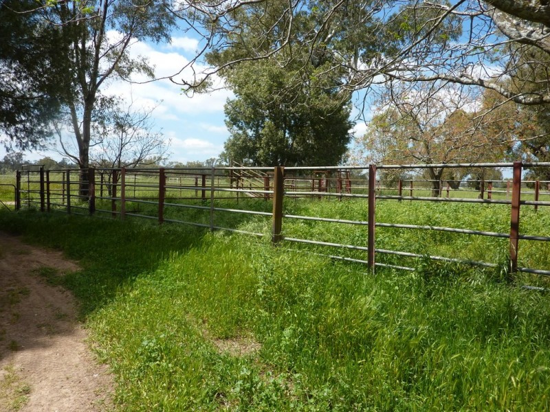 205 River Road, Wagga Wagga NSW 2650