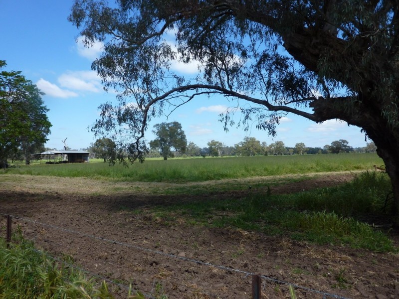 205 River Road, Wagga Wagga NSW 2650