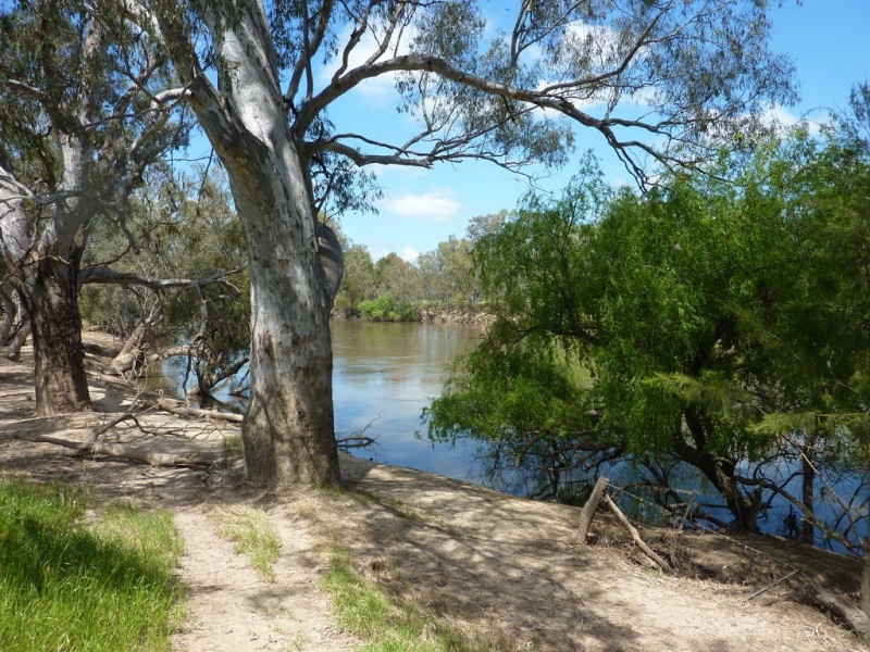 205 River Road, Wagga Wagga NSW 2650