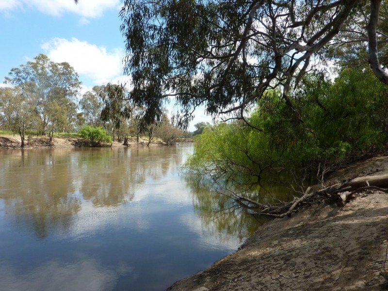 205 River Road, Wagga Wagga NSW 2650