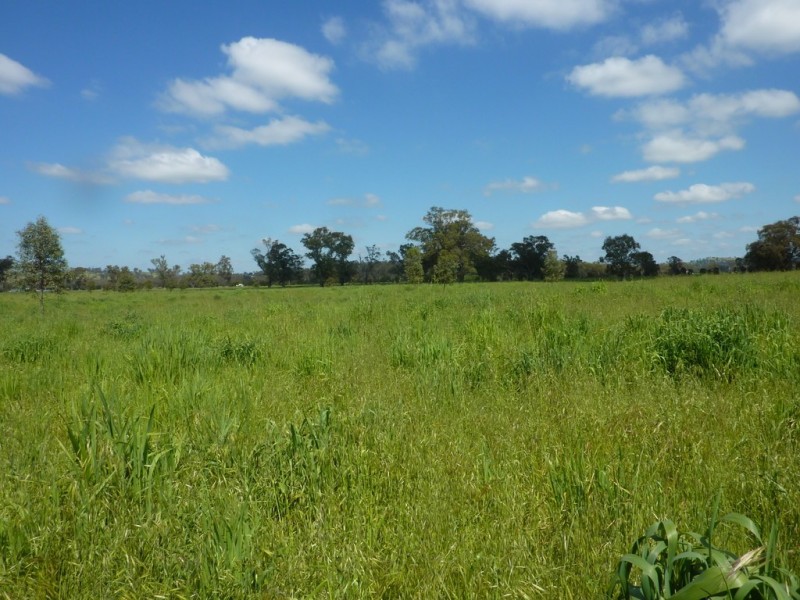 205 River Road, Wagga Wagga NSW 2650