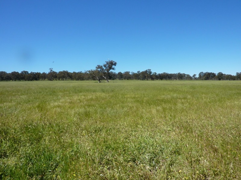 113 Coolamon Road, Wagga Wagga NSW 2650