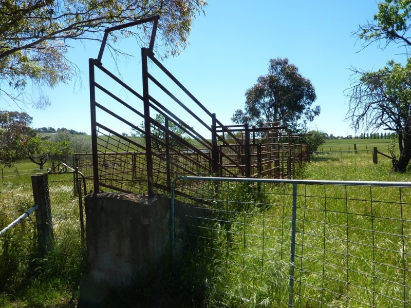 113 Coolamon Road, Wagga Wagga NSW 2650
