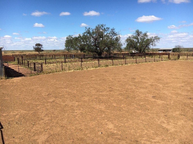 Hay NSW 2711